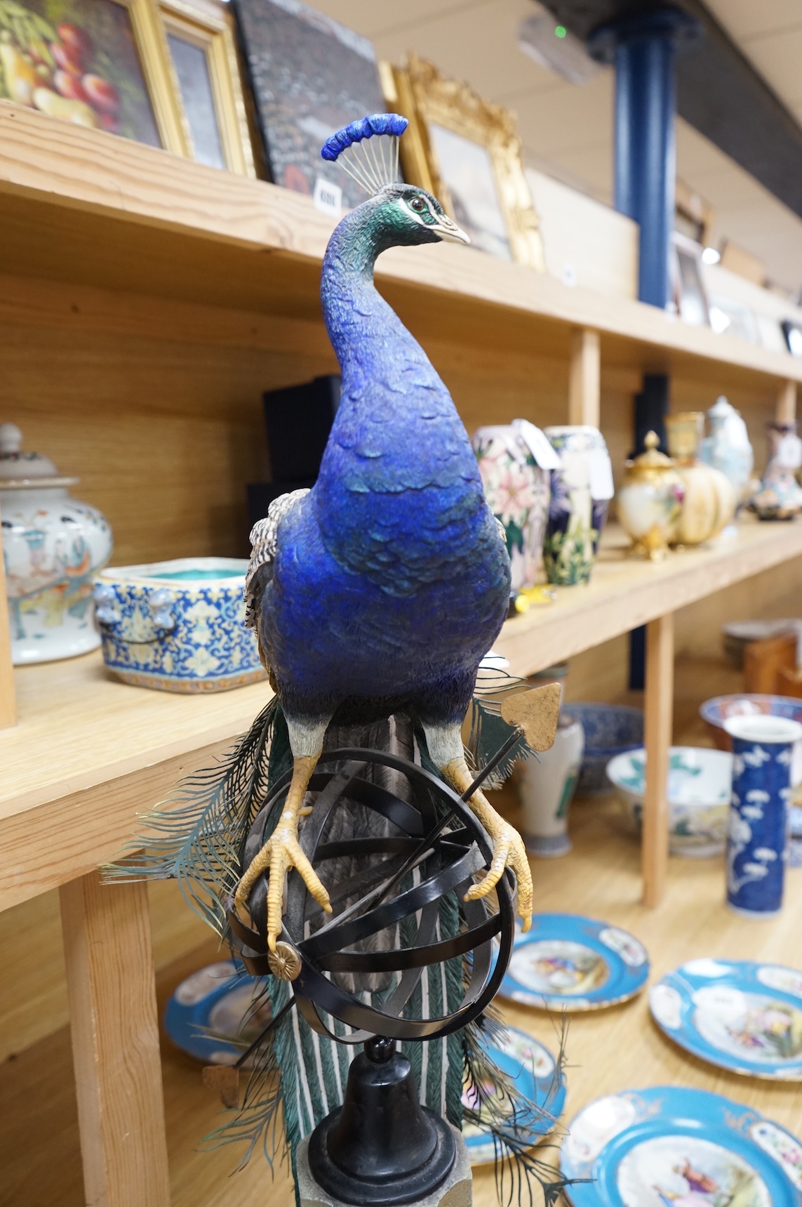 A large Border Fine Arts Regal Splendour Peacock, 77cm